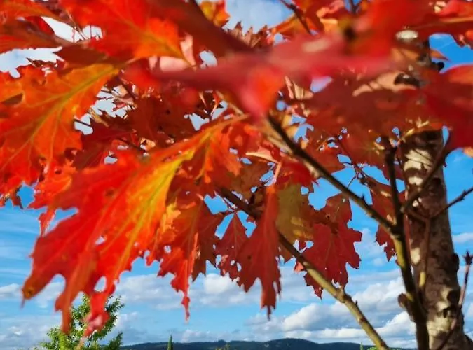 B&B Les Chenes Rouges